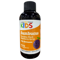 Купить CGN Kids, Sambucus Бузина для детей, сироп из европейской черной бузины с эхинацеей, жидких (120 мл) - Самбукус