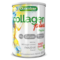 Купить Quamtrax Collagen Plus with Peptan | Коллаген с Гиалуроновой кислотой и Витаминами С, В3,В6 и Магнием - 350 г