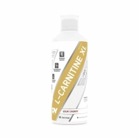 Купить Dorian Yates Nutrition L-CARNITINE XL 1000ml