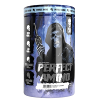 Купить Skull Labs Perfect Amino 30 servings, 450 g (Со вкусом) | Скулл Лабс Перфект Амино 30 порций 450 г