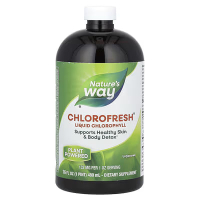 Купить Natures Way, Chlorofresh, жидкий хлорофилл, с ароматом мяты, 132 мг, 480 мл (16 жидк. унций)