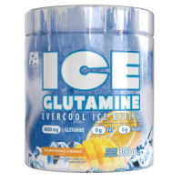 Купить FA ICE Glutamine 300 g | ФА АЙС Глютамин 300 г