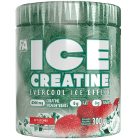 Купить FA Ice Creatine 300г 60п (со вкусом ICY LYCHEE), Креатин